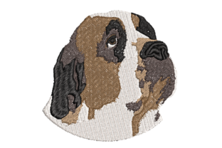 Reviewing Realistic Saint Bernard for Boutique Apparel